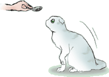 胍fQ