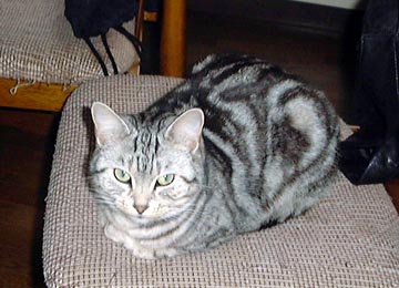 ���I�������