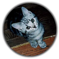 �~�N�����