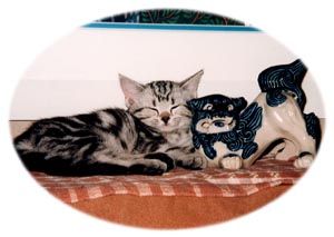 �~�N�����