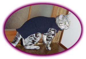 �~�N�����