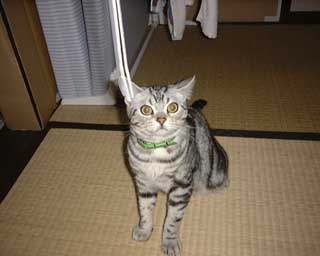 Q���Y����