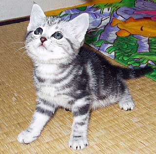 �E���������