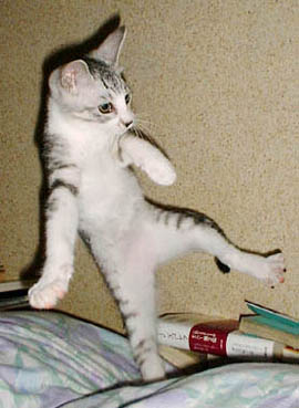 �A�b�V������