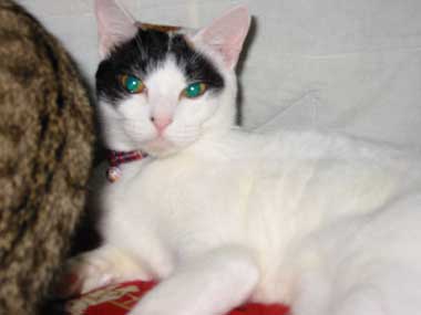 �R�R�����