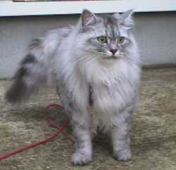 �G������