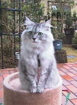 �G������