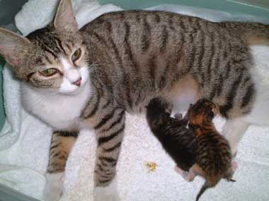 �q�L����