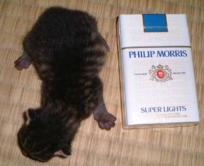 �q�L����