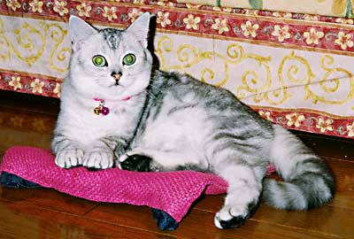 �}���������