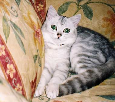 �}���������