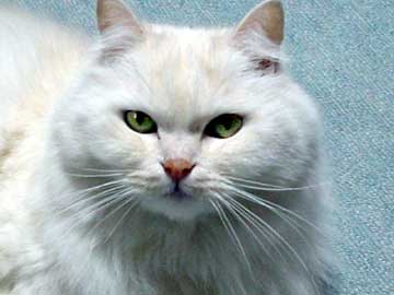 �݁[�q����