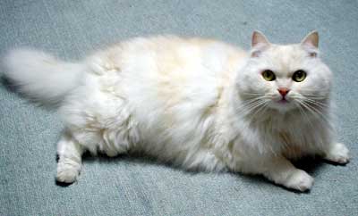 �݁[�q����