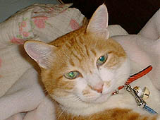 �~�~����