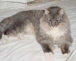 �A�E������