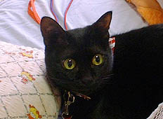 �^���S�����