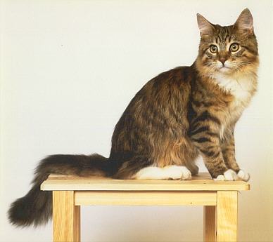 �W���~�[����