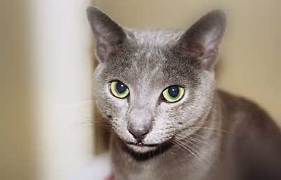 �u�u�J�����