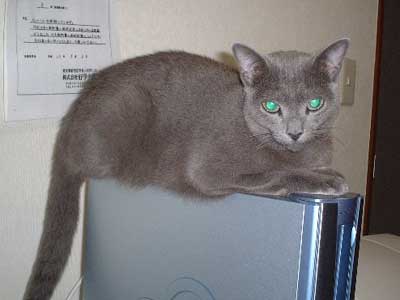 ���[�����