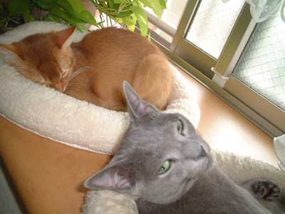 ���[�����