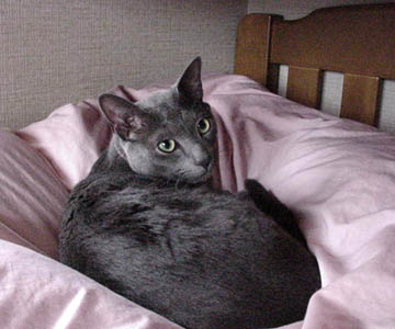 �E�[����