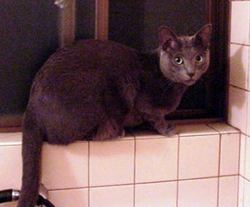 �E�[����