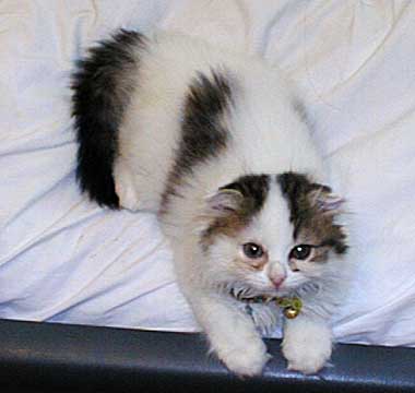 ���N�����