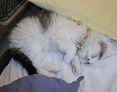 ���N�����