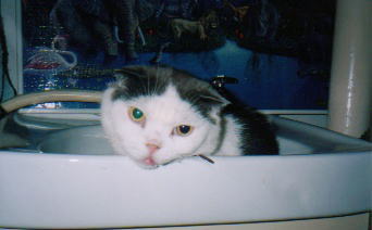 �A�g������