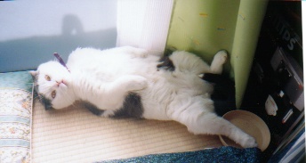 �A�g������