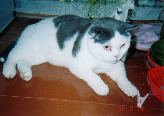 �A�g������