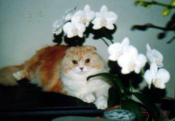 �J��������