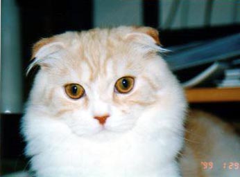 �J��������