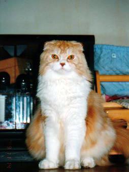 �J��������