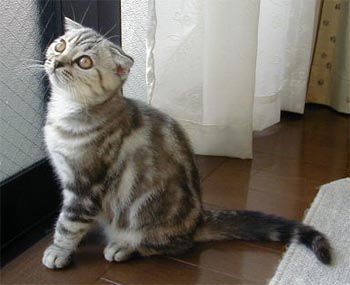 �N���������