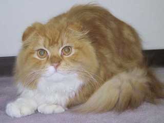 �_�O����