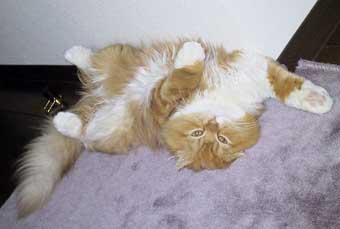 �_�O����