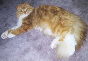 �_�O����