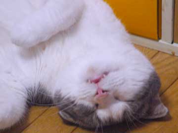 �����Y����