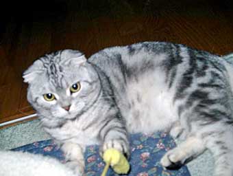 ���҂��񂭂�