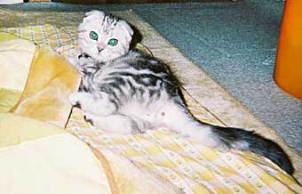 ���҂��񂭂�