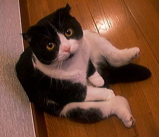 �|��������