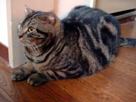 �|�|����