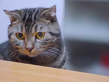 �|�|����