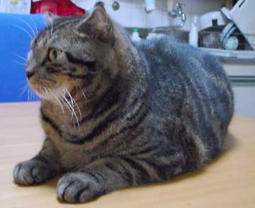 �|�|����