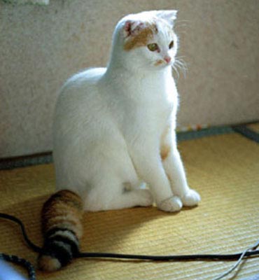 �|�s�[�����