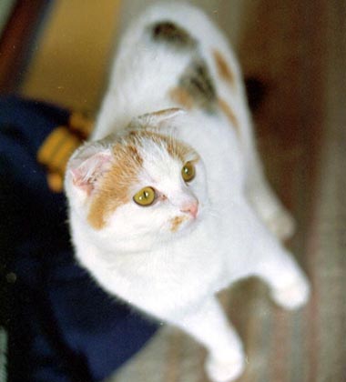 �|�s�[�����