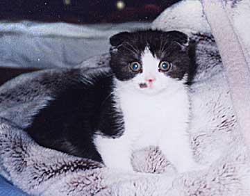 ���b�R����