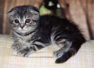 �T�j�i�����