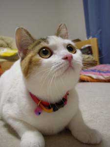 �~�q�����